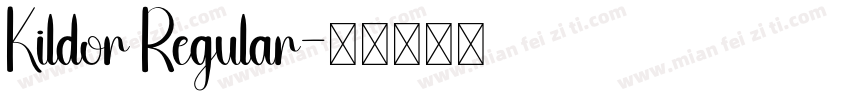 Kildor Regular字体转换